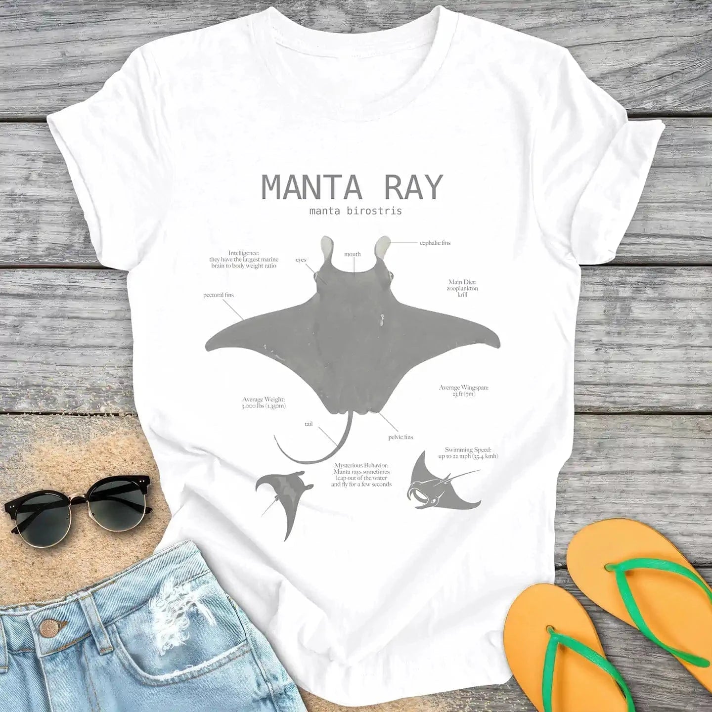 Manta Ray Anatomy