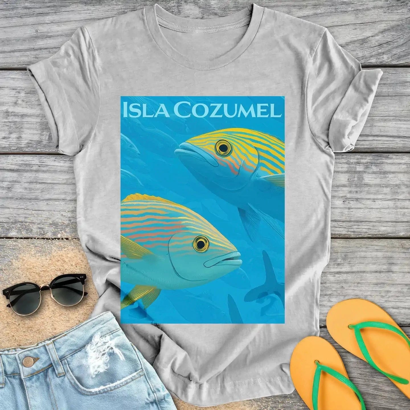 Isla Cozumel Fish