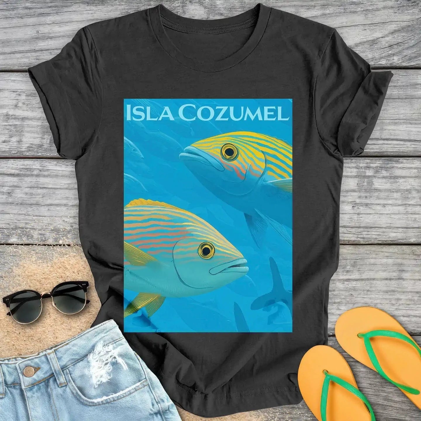 Isla Cozumel Fish