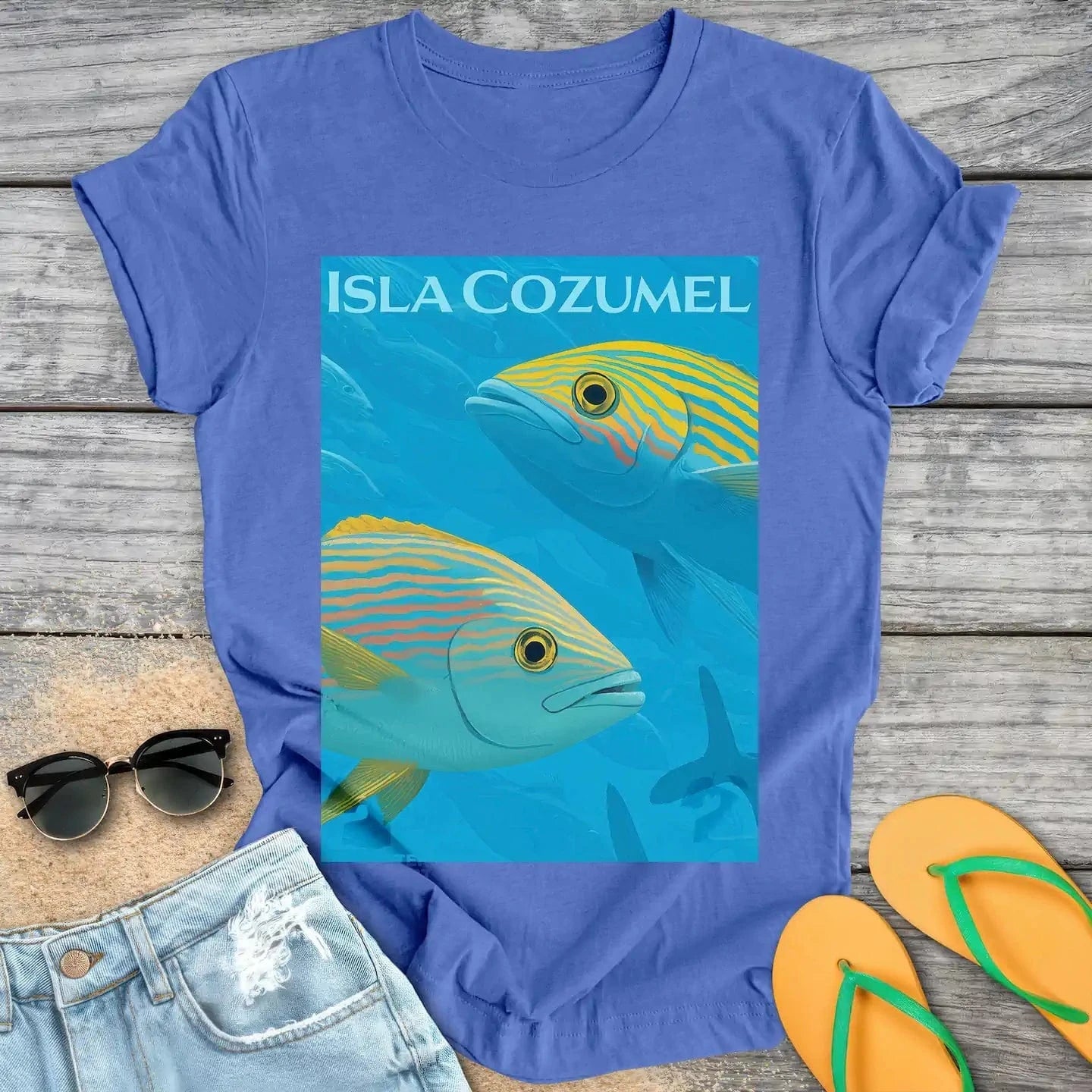 Isla Cozumel Fish
