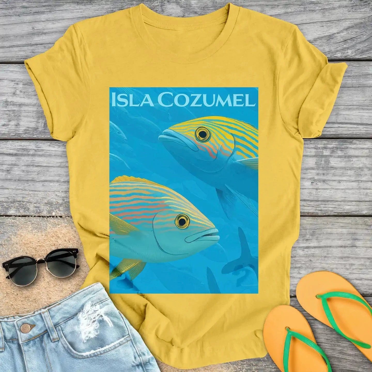 Isla Cozumel Fish