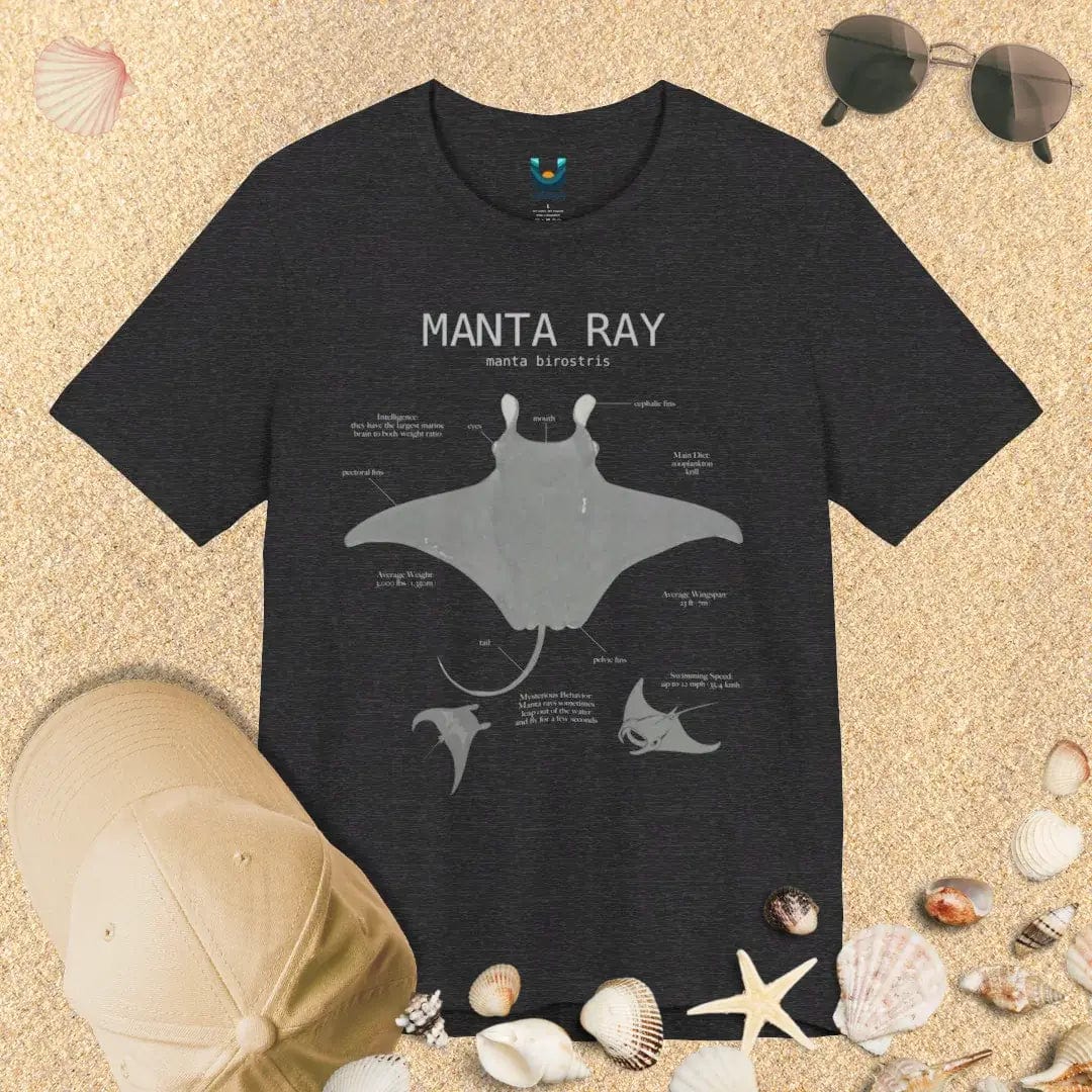 Manta Ray Anatomy